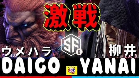 スト6💥 ウメハラ「豪鬼」対 柳井「ベガ」 ｜daigo Umehara「akuma」vs Yanai「bison」💥 Sf6 🤜fgc🤛