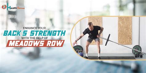 Enhance Your Back S Strength With The Help Of Meadows Row