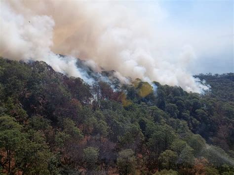 Gem Controlado Del Incendio Forestal En Cotija Cofom