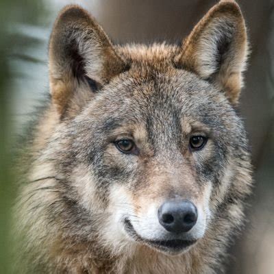 HiTechBaby On Twitter She Loves To Squirt Squirting Squirt Pussy Wetpussy Nsfwtwt