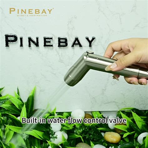 Pinebay Factory Directly Sell Abs Plastic Two Function Bidet Shattaf