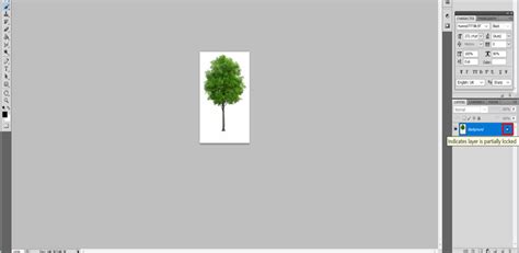 Tree Brush Photoshop | List of 14 Amazing Steps To Create Tree Brush