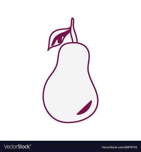 Fresh Pear Fruit Nature Icon Royalty Free Vector Image