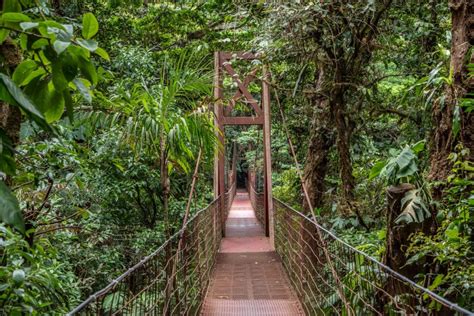 Lo mejor del ecoturismo en Costa Rica qué lugares visitar