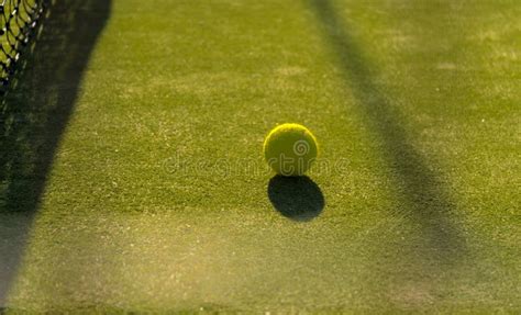 The Official Wimbledon Tennis Ball Editorial Photography Image Of