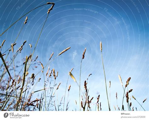 Himmel Freiheit Sommer Ein Lizenzfreies Stock Foto Von Photocase