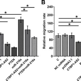 CTBP1 AS2 Interacted With MiR 216a PTEN Axis To Suppress EC Cell