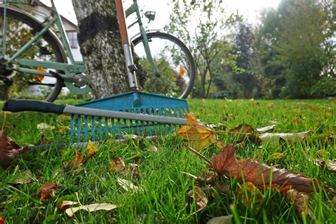 Rasenpflege Im Herbst Was Ist Jetzt Im Garten Zu Tun