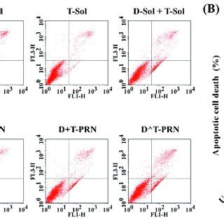 Induction Of Apoptosis In MCF7 ADR Cells Following 24 H Treatment With