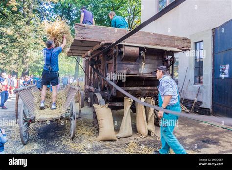 Zamberk Czechia September Threshing Of Grain In A Wooden