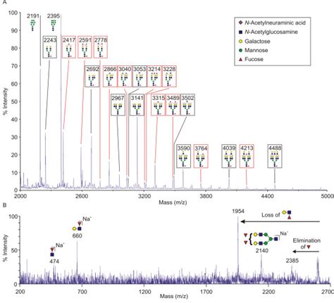 Mass Spectrometric Analysis Of N Linked Glycans From Galmbp Ligands On