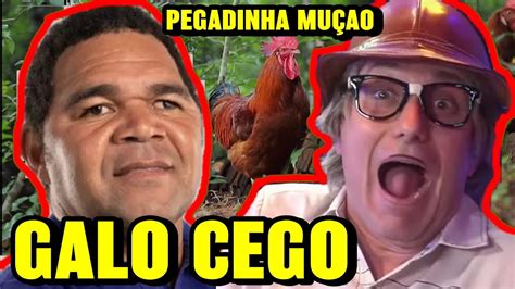 MUÇÃO PEGADINHA DO GALO CEGO muçaopegadinhagalocego YouTube