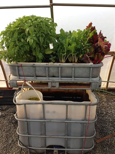 Pocket Farm