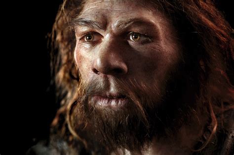 La extinción de los neandertales