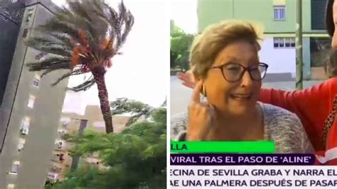 Se Ha Ca Do La Palmera El Directo De M Luisa La Sevillana Que Ha