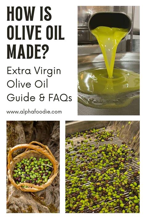 How Is Olive Oil Made Extra Virgin Olive Oil Guide Faqs