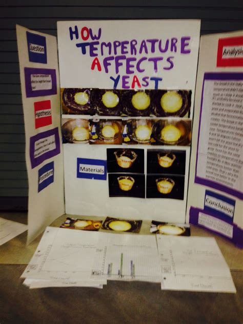 Grade 8 Science Fair Project Project Based Learning Pinterest