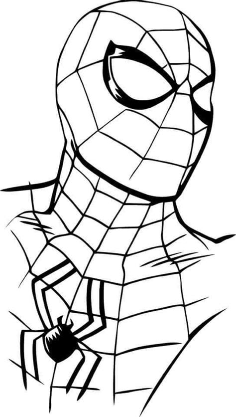 Pin By Abigail Alvarez On Design In Spiderman Drawing Easy