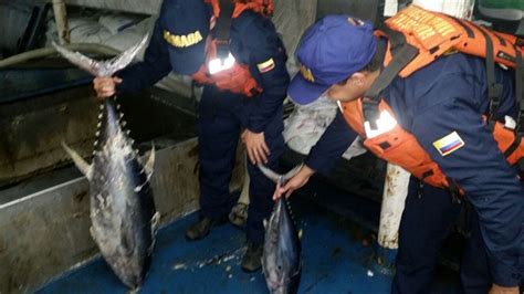 Autoridad de pesca certificó 70 toneladas de pesca ilegal transportada