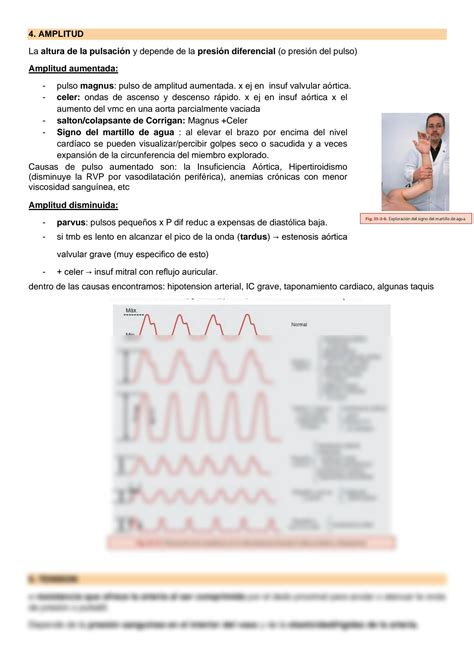 SOLUTION Semiologia Cardiovascular Studypool