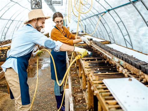 Funding For Agricultural Startups In South Africa