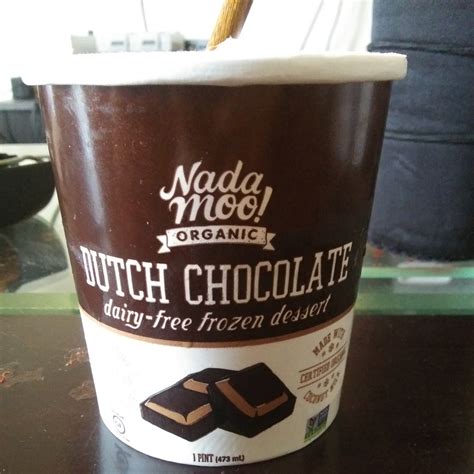 Nadamoo Chocolate Ice Cream Reviews Abillion