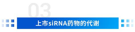 Dmpk系列 上市sirna药物adme研究概况及数据解读 知乎