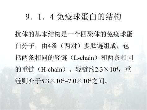 分子生物学chapter10基因与发育word文档在线阅读与下载无忧文档