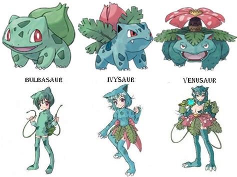 Bulbasaur Ivysaur Venusaur