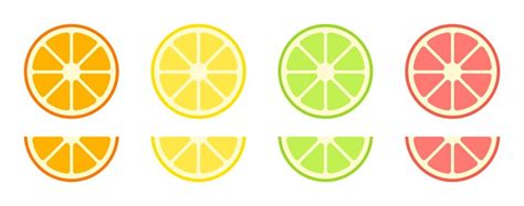 Premium Vector Vector Citrus Fruit Slices