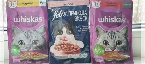 Корм для кошек в пакетиках влажный купить в Санкт-Петербурге | Животные ...