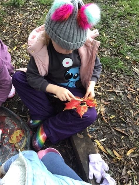 Forest School Remembrance Garden 2024 Henry Chadwick Primary School
