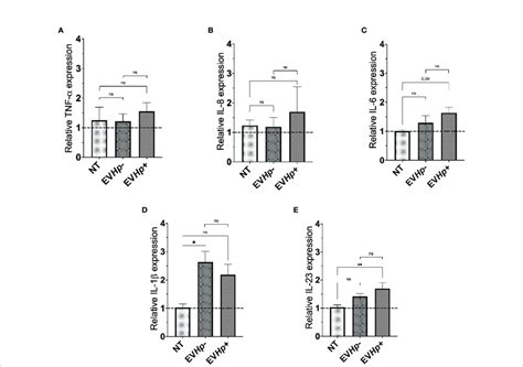 Expression Of Cytokines In Non Tumorigenic Gastric Ges 1 Cells Without Download Scientific