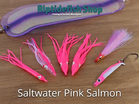 Puget Sound Pink Salmon Fishing The Ultimate Guide