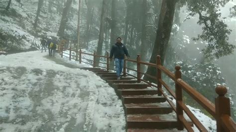 Christmas Shimla Live Snow Fall Youtube