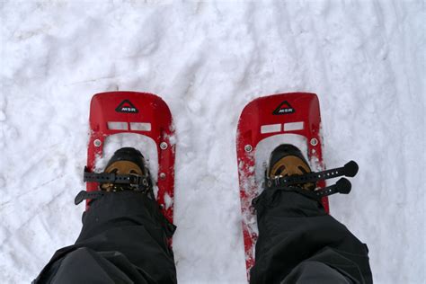 North Shore Snowshoe Options » Vancouver Blog Miss604