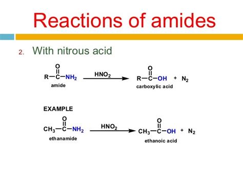 Chapter 8 amide