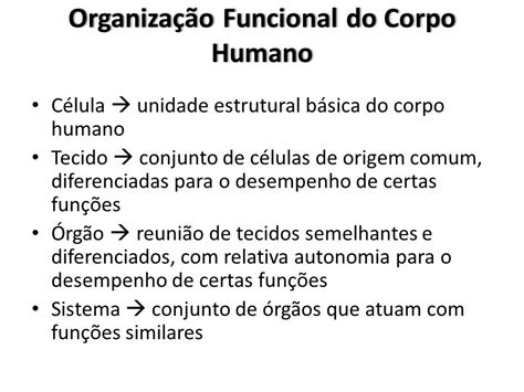 Conjunto De órgãos Específicos Que Realizam Funções Essenciais à Vida