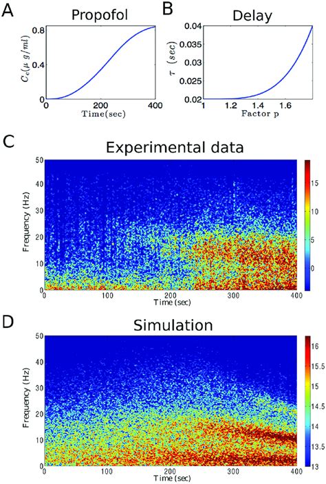 Experimental And Theoretical Spectrogram During Propofol Induced Download Scientific Diagram