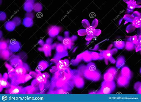 Close Of Led Purple Light Flower Form On Black Background Stock Image