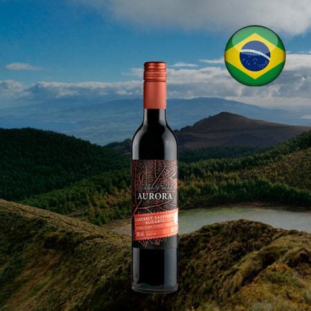 Os 10 Vinhos Suaves Bons Que Você Precisa Degustar