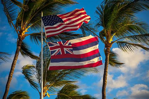 Drapeau Hawaii Banque Dimages Et Photos Libres De Droit Istock