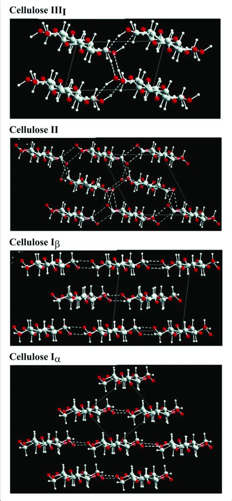 Crystal Structure Cellulose Strands And The Corresponding Major