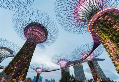 The 15 Best Tourist Attractions In Singapore CuddlyNest