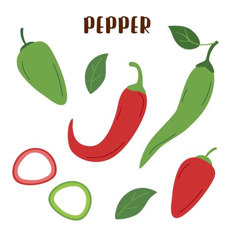 Set Of Pepper Isolated On White Hot Chilli Pepper Vegetable 39391031