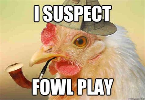 20 Chicken Memes That Are Surprisingly Funny