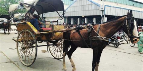 Old Transportation Vehicles Of India