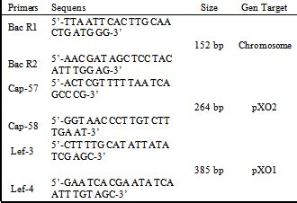 Figures Index Identification Of Virulence Of Bacillus Anthracis From