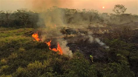 Em sete dias dias Acre tem mais de 50 focos de queimadas número é