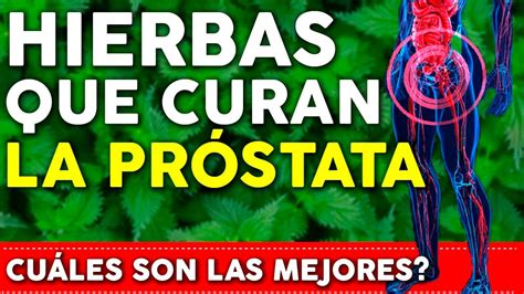 Estas Hierbas CURAN la PRÓSTATA Reducen y Previenen enfermedades